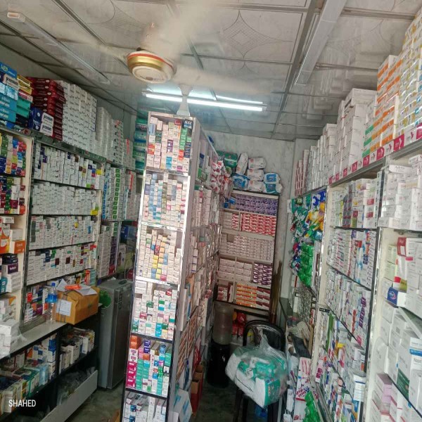 Organization Picture